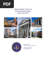 Diversity Report 2017