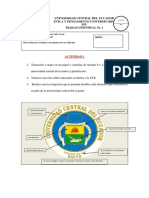 ACTIVIDAD 1-2-3 Diciembre 2017