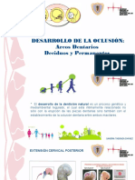 Desarrollo de La Oclusion PDF