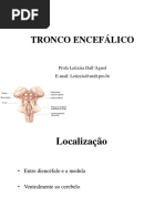 Aula III - Tronco Encefal e Formação Reticular