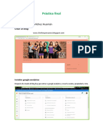 Práctica final Analytics.docx