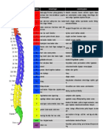 Vertebrae Innervated Organs Associated Symptoms