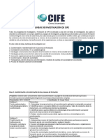 Lineas de Investigacion CIFE 2017