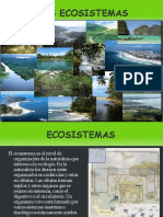 Eco Sistem As