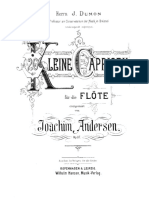 PMLP52081-Andersen_26_Kleine_Capricen_op37.pdf