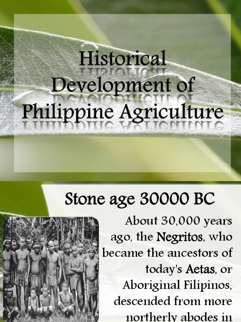 History of Philippine Agriculture | PDF | Philippines | Agriculture