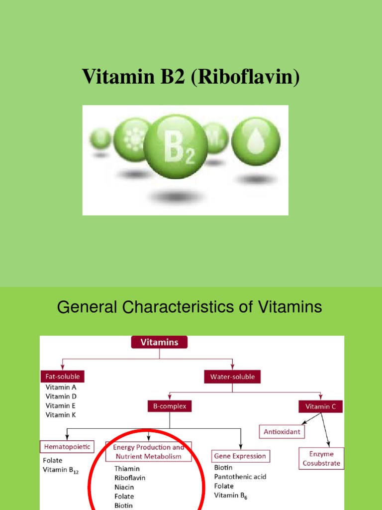 Vitamin b2 Riboflavin PDF Biomolecules Molecular Biophysics