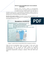 283900266-Farmacos-Que-Actuan-en-La-Union-Neuromuscular-y-en-Los-Ganglios-Autonomos.docx