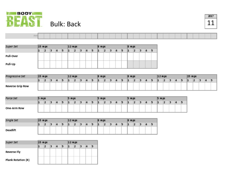 Workout Tracker For Body Beast Bulk Back (In Excel) PDF