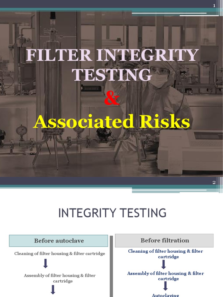 Filter Integrity Testing PDF Filtration Sterilization (Microbiology)