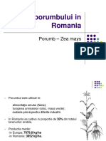 Cultura Porumbului in Romania