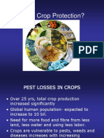 Lecture 2 Pest and Crop Loss