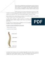 Coluna vertebral.docx