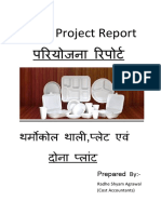 PMEGP Project Report