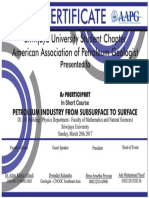 Certificate: Sriwijaya University Student Chapter American Association of Petroleum Geologist