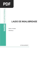 Laudo de Insalubridade Britador Scrib