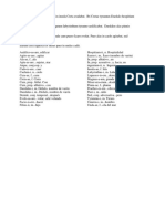 1 y 2 Declinación - Traducción y Vocabulario - Dédalo e Ícaro