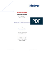 PVT 10.pdf