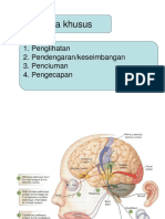 FAAL - Organ Indra Khusus - DR MARWITO