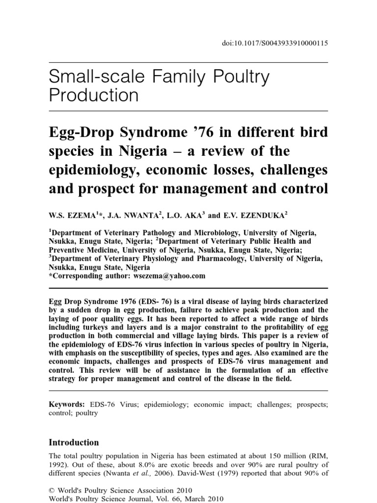 Egg Drop Syndrome '76 EDS76 Disease in Nigeria Poultry Avian Influenza