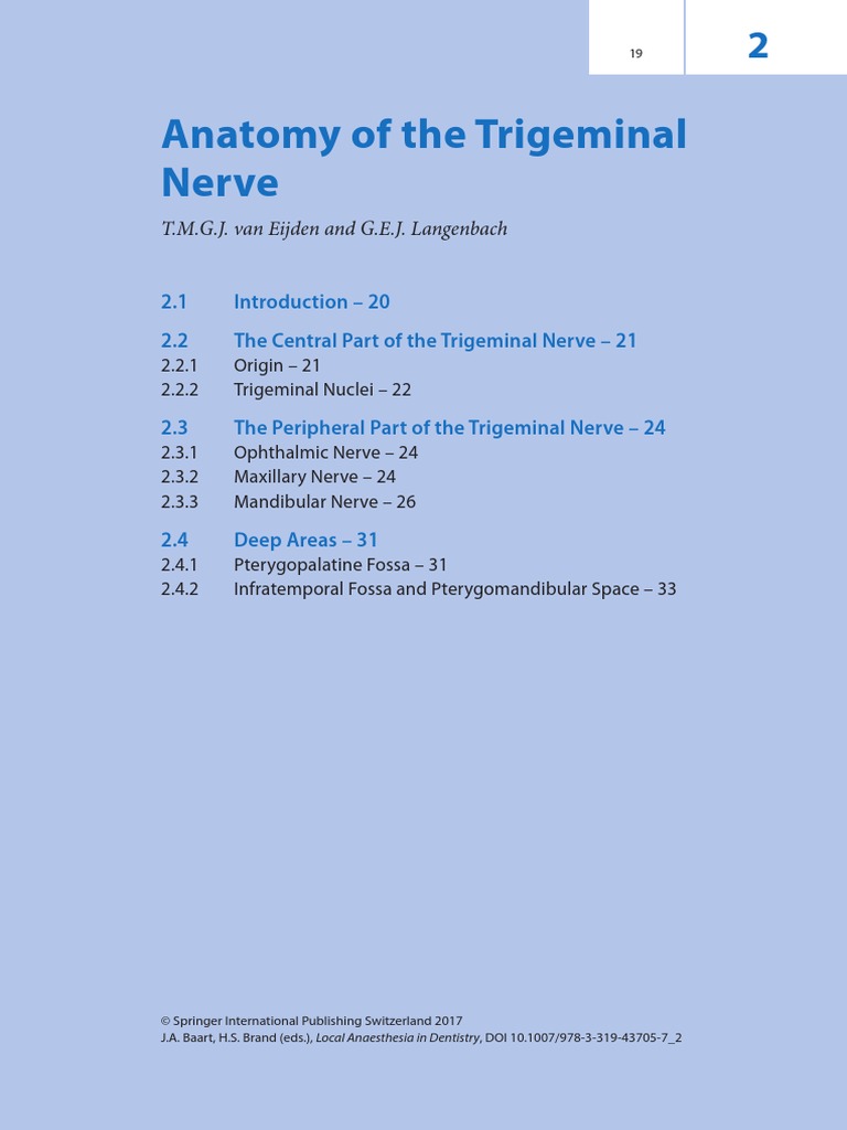 Anatomy of The Trigeminal Nerve | PDF | Tongue | Face