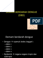 Demam Berdarah Dengue (DBD)