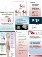 Leaflet Thalasemia