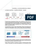 M24 La Piedra Filosofal - Alquimia Interior - Plasma