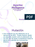 agentesmutgenos-120624122842-phpapp02