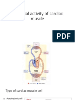 Electrical Activity of Cardiac Muscle