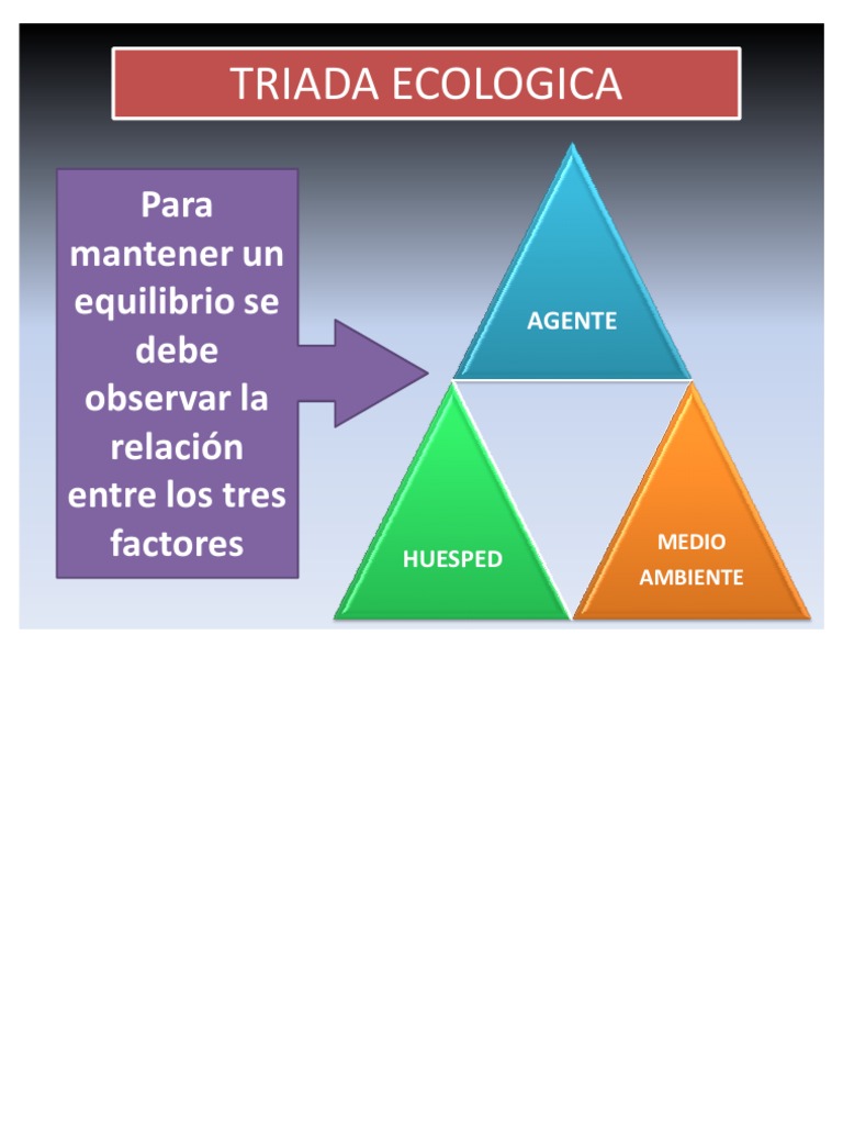 TRIADA ECOLOGICA