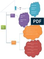 Mapa Conceptual