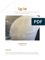 Egg Lab: Charlotte Neal