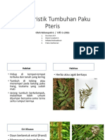 Karakteristik Tumbuhan Paku Pteris KEL 6 OFF G