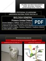 Biologicos y Quimicos 2017 II - UNPRG