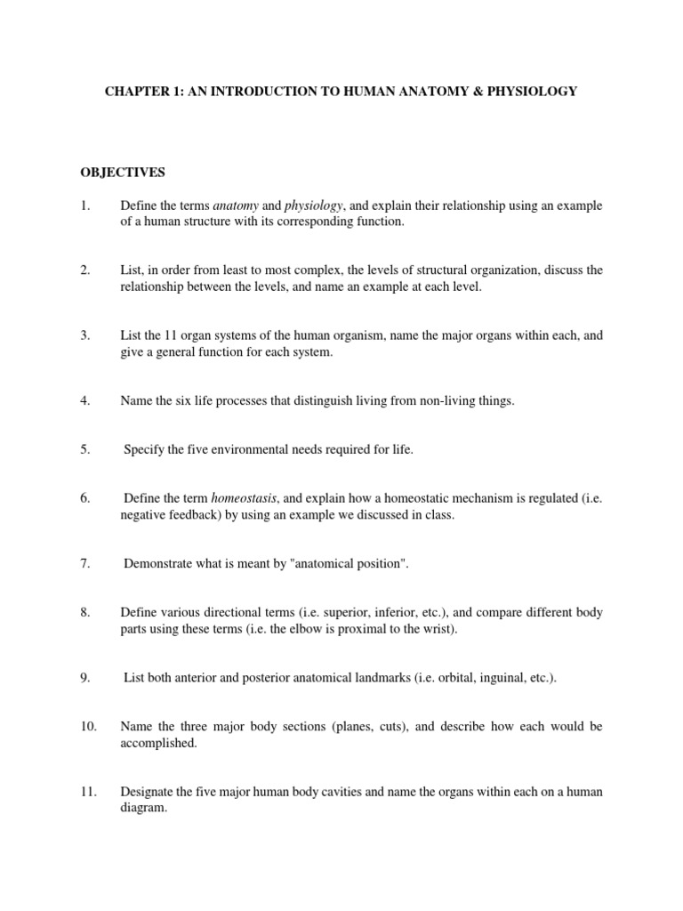 Chapter 1: An Introduction To Human Anatomy & Physiology | PDF | Human ...