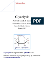 Glycolysis: Biochemistry of Metabolism