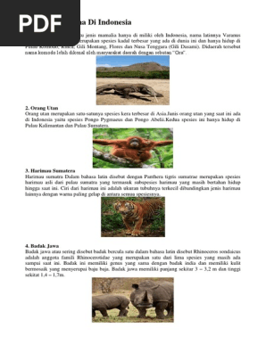 Unduh 850 Koleksi Gambar Flora Beserta Penjelasannya Terbaik 