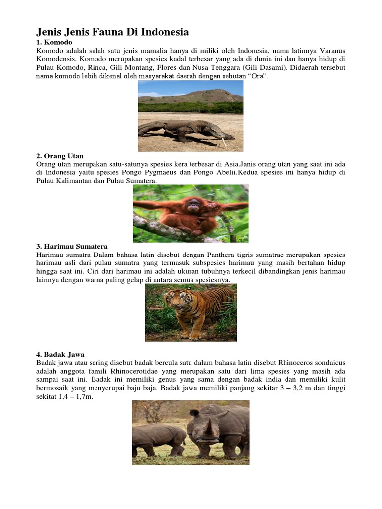 Kliping Flora Dan Fauna Gambar Dan Penjelasan Kliping Flora Dan Fauna Gambar Dan Penjelasan
