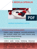 Cedera Tulang Belakang