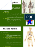 50022367-BoneTissue-ppt.ppt