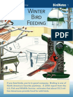 BirdNotes-Winter-Bird-Feeding-Guide-pdf.pdf