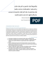 Determinación de PH A Partir de Repollo Morado Como Indicador Natural