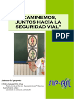 CAMINEMOS JUNTOS HACIA LA SEGURIDAD VIAL.pdf