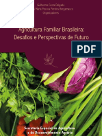 DELGADO & BERGAMASCO Agricultura familiar brasileira - Desafios & perspectivas de futuro.pdf