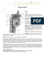 Organs of Speech