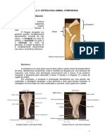 3 Osteologia PDF