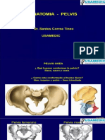 Anatomia 7 Pelvis Pdefe