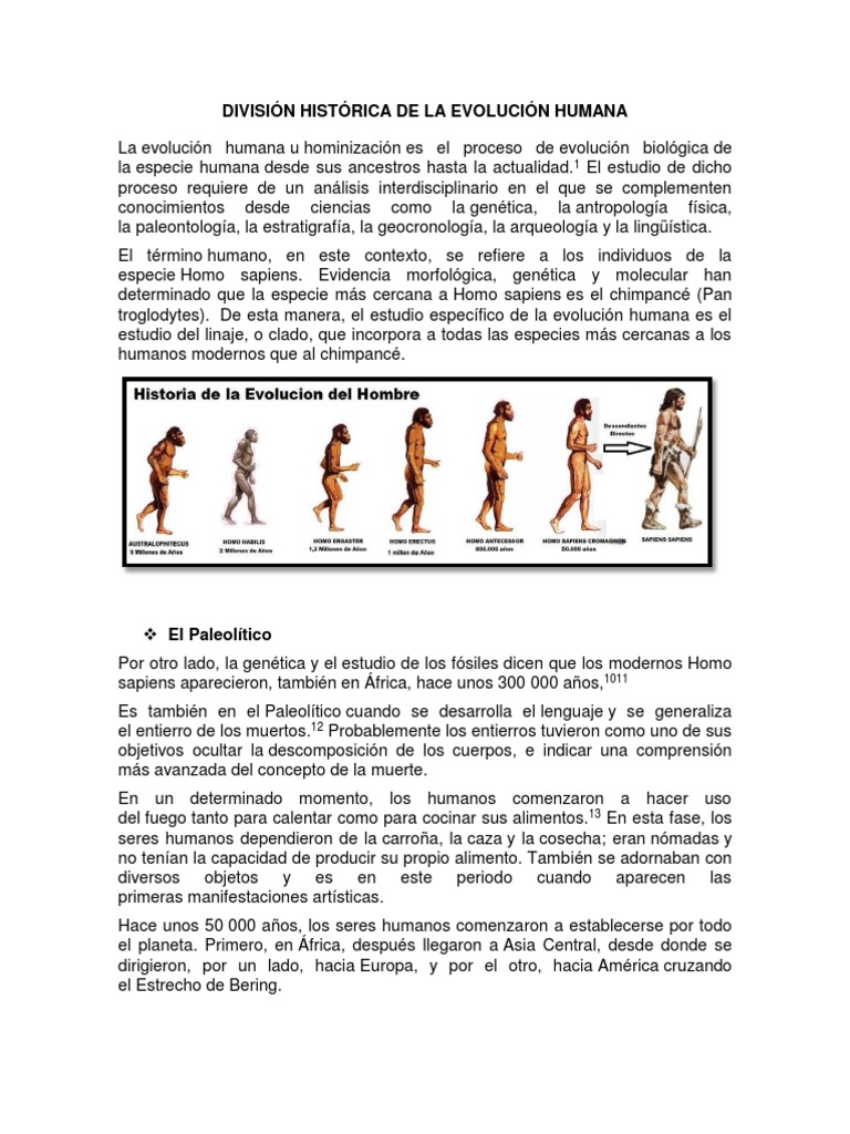 Evolución de la Especie Humana | PDF | Evolución humana | Período ...