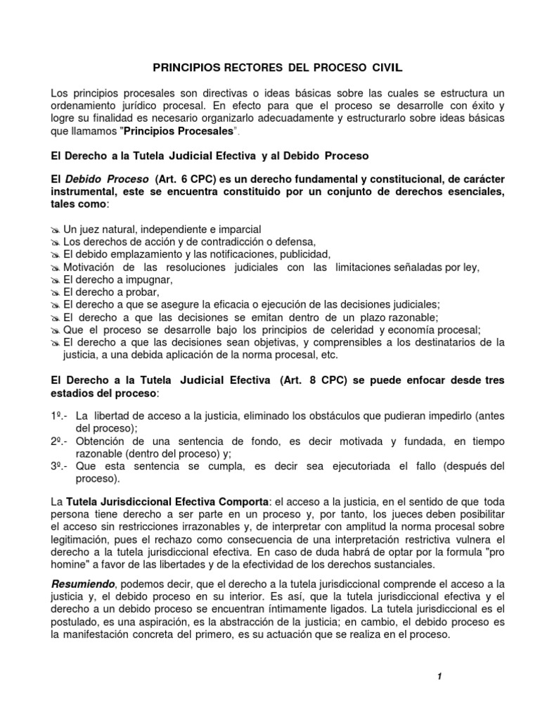 Principios Rectores Del Derecho Procesal Civil Debido